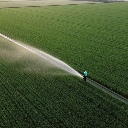 Autorização para Uso da Água na Irrigação: Guia Essencial para Produtores Rurais