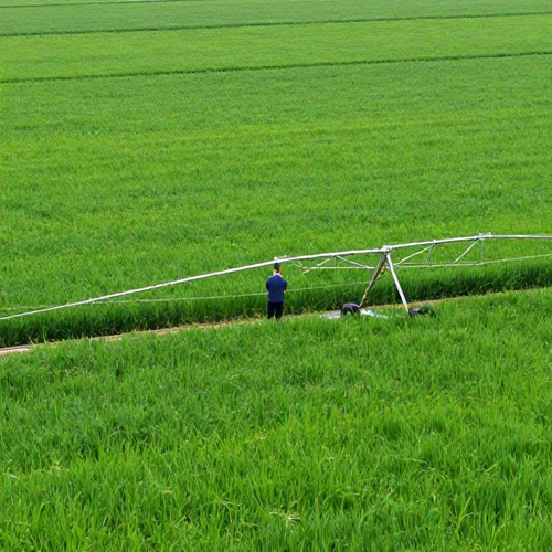 Autorização para Uso de Água na Irrigação: Guia Essencial para Regularizar Seu Projeto