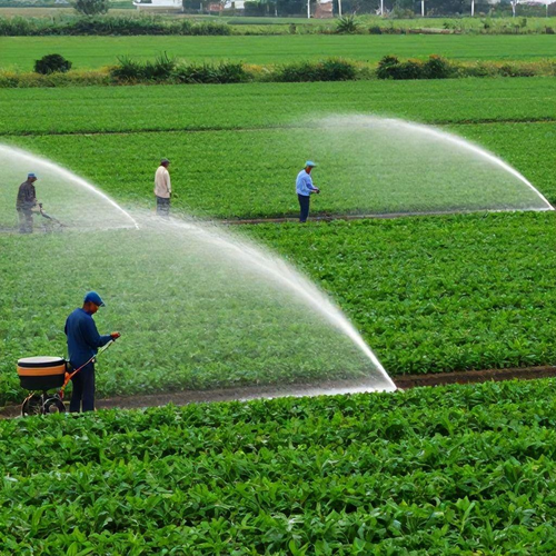 Outorga de Água para Irrigação: Guia Completo para Maximizar sua Produção Agrícola
