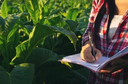 Como Elaborar Projetos Agropecuários para Bancos de Forma Eficaz