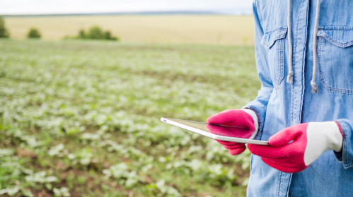 Licenciamento Ambiental na Agricultura: Guia Completo para Conformidade