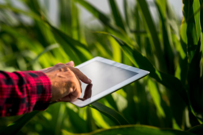Principais Projetos Agrícolas para Aumentar a Produtividade