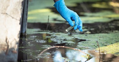 Investigação de áreas contaminadas