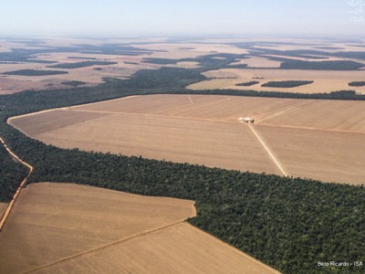 Licenciamento ambiental para atividades agrícolas